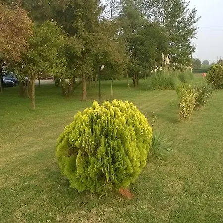 San Vitale فندق